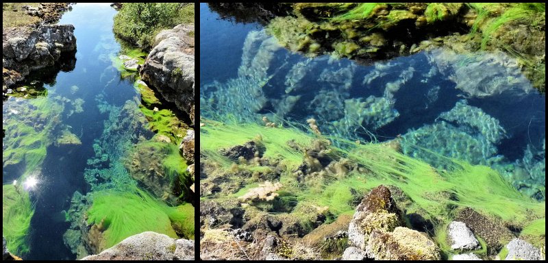 C (252) Water-filled rift.JPG